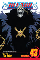 Bleach, Vol. 43 - Hapi Manga Store