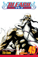 Bleach, Vol. 45 - Hapi Manga Store