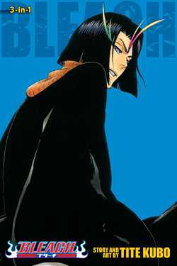 Bleach (3-in-1 Edition), Vol. 13 - Hapi Manga Store