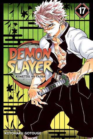 Demon Slayer: Kimetsu no Yaiba, Vol. 17 - Hapi Manga Store