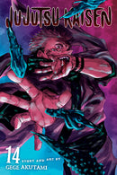 Jujutsu Kaisen, Vol. 14 - Hapi Manga Store