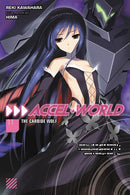 Accel World, Vol. 11 (light novel)