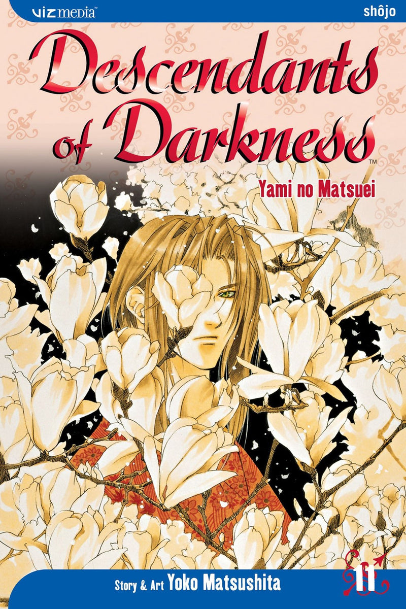 Descendants of Darkness, Vol. 11 - Hapi Manga Store