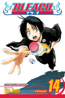 Bleach, Vol. 14 - Hapi Manga Store