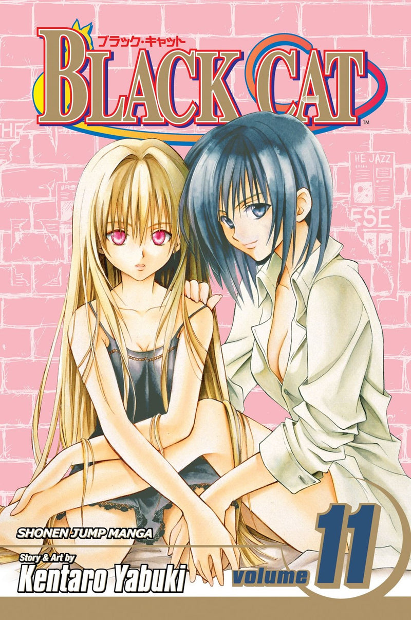 Black Cat, Vol. 11 - Hapi Manga Store