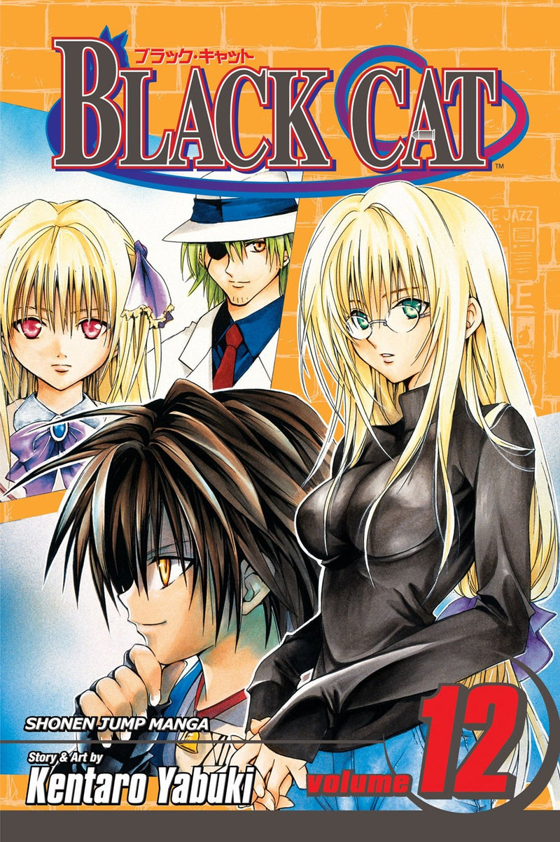 Black Cat, Vol. 12 - Hapi Manga Store