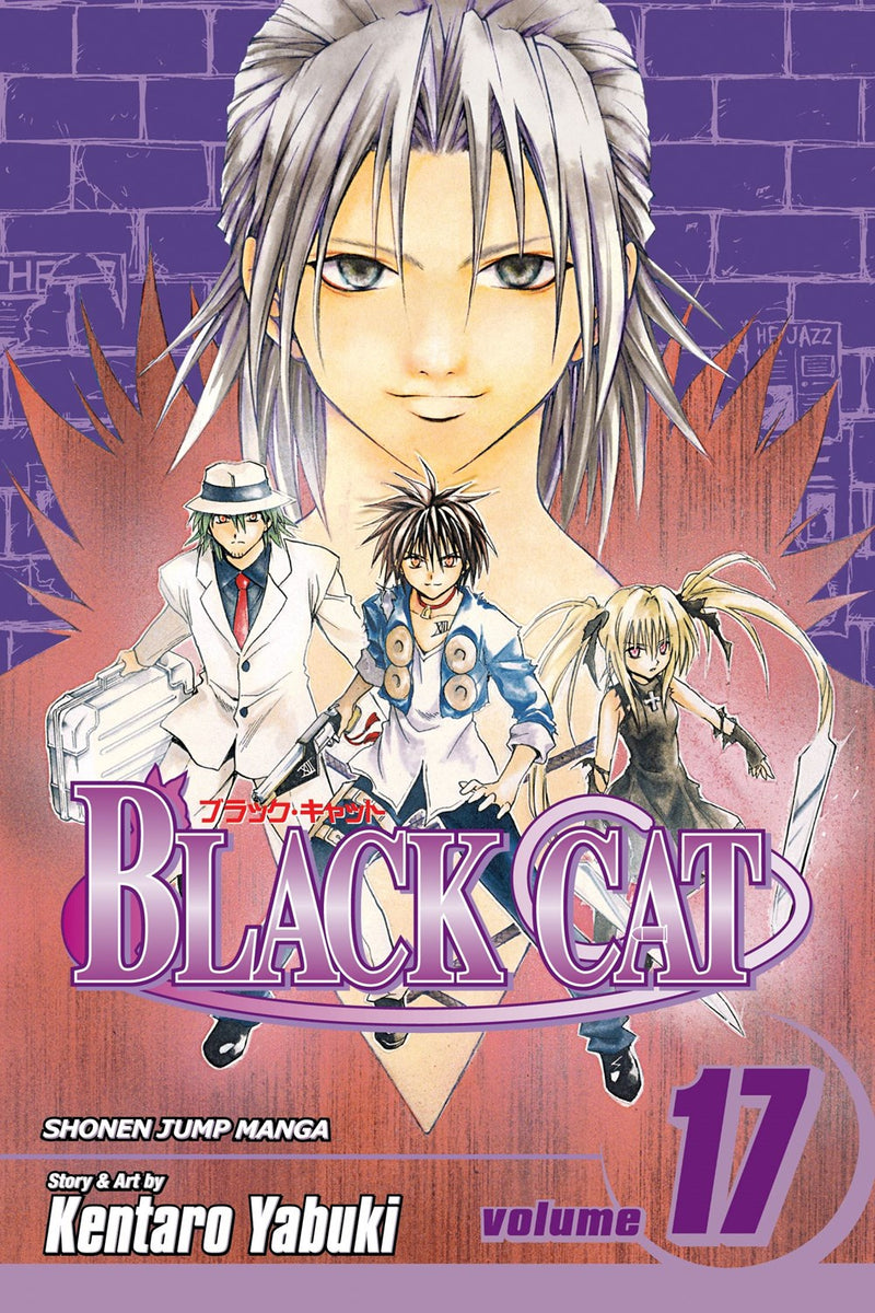 Black Cat, Vol. 17 - Hapi Manga Store