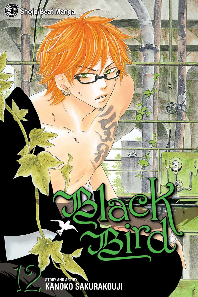 Black Bird, Vol. 12 - Hapi Manga Store