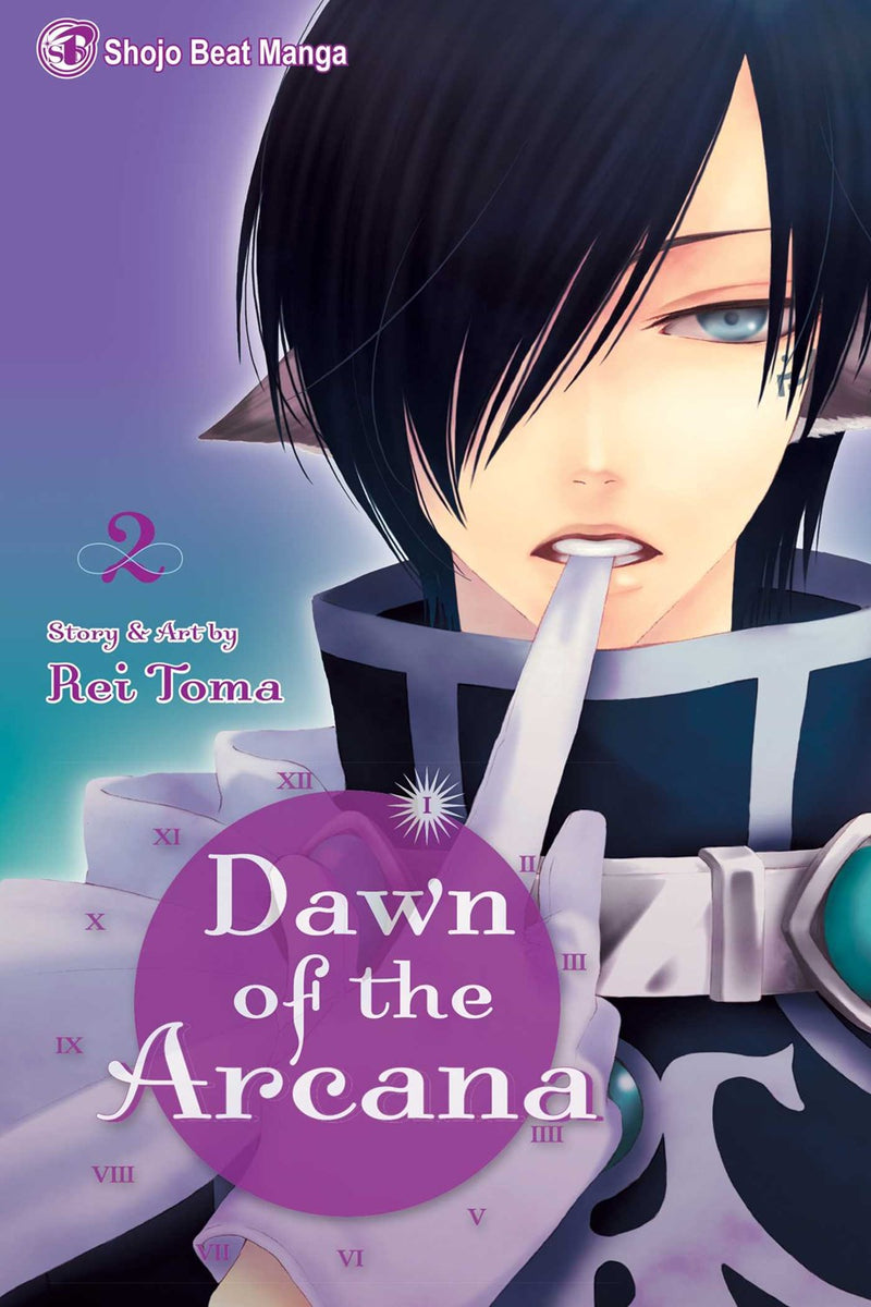 Dawn of the Arcana, Vol. 2 - Hapi Manga Store