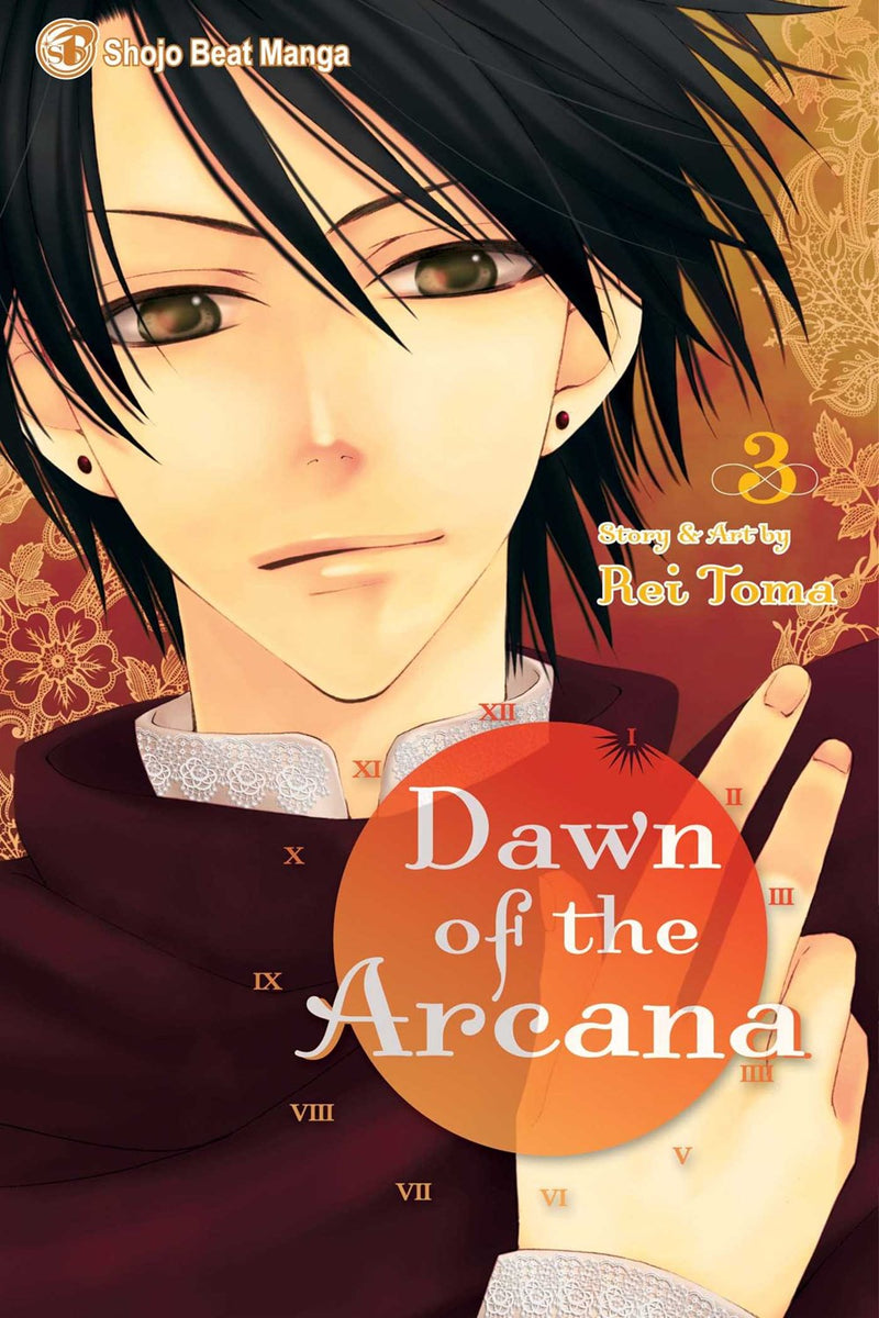 Dawn of the Arcana, Vol. 3 - Hapi Manga Store