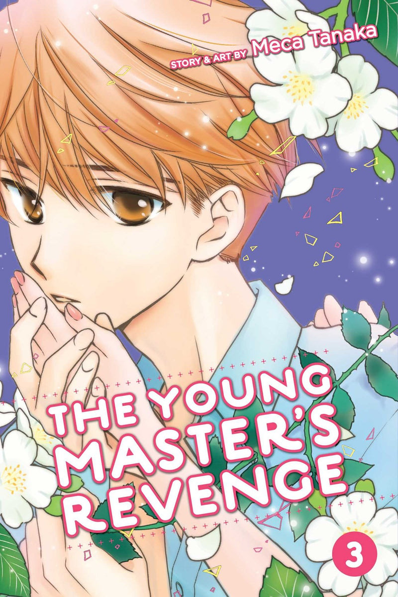 The Young Master's Revenge, Vol. 3 - Hapi Manga Store