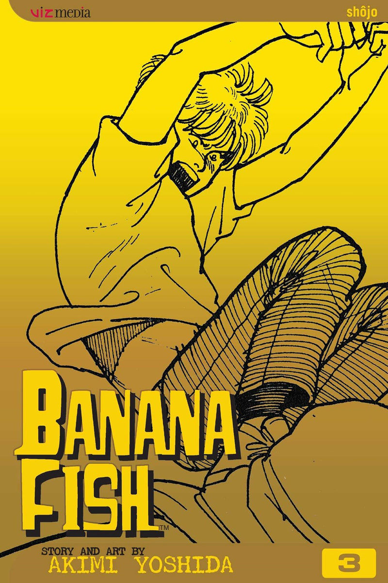 Banana Fish, Vol. 3 - Hapi Manga Store