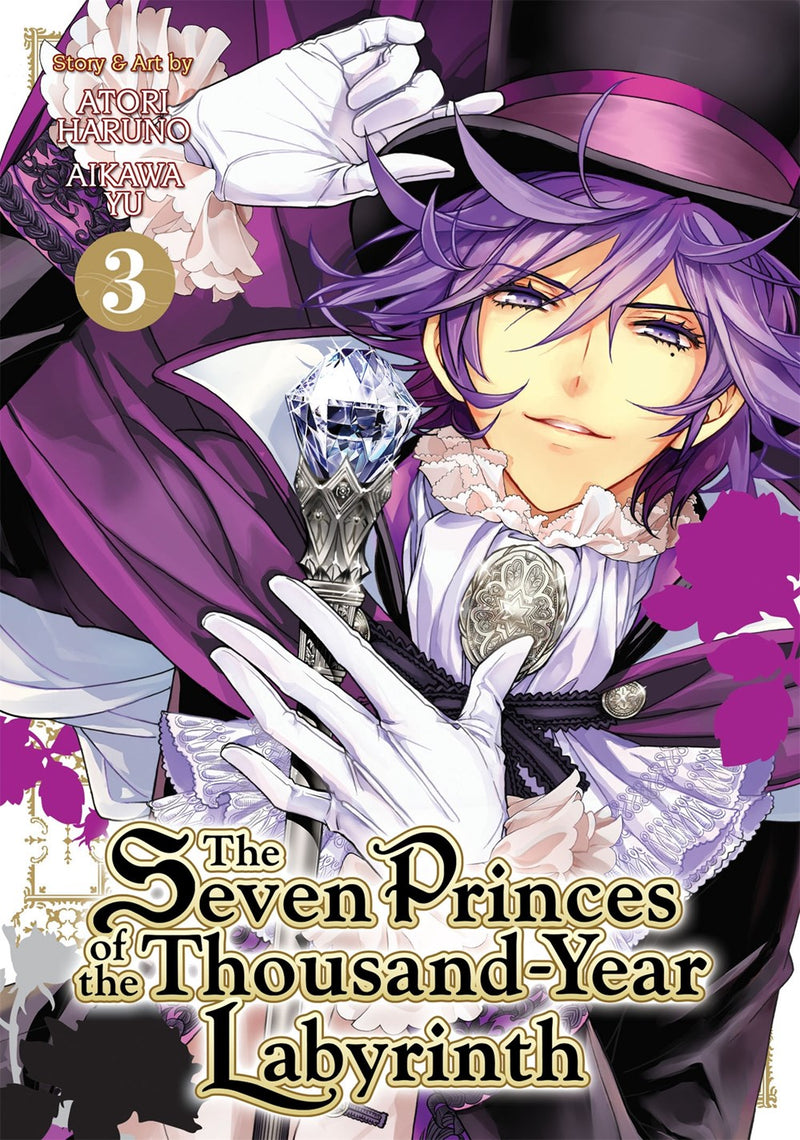 The Seven Princes of the Thousand-Year Labyrinth, Vol. 3 - Hapi Manga Store