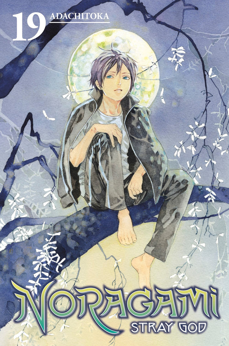 Noragami: Stray God, Vol.  19 - Hapi Manga Store