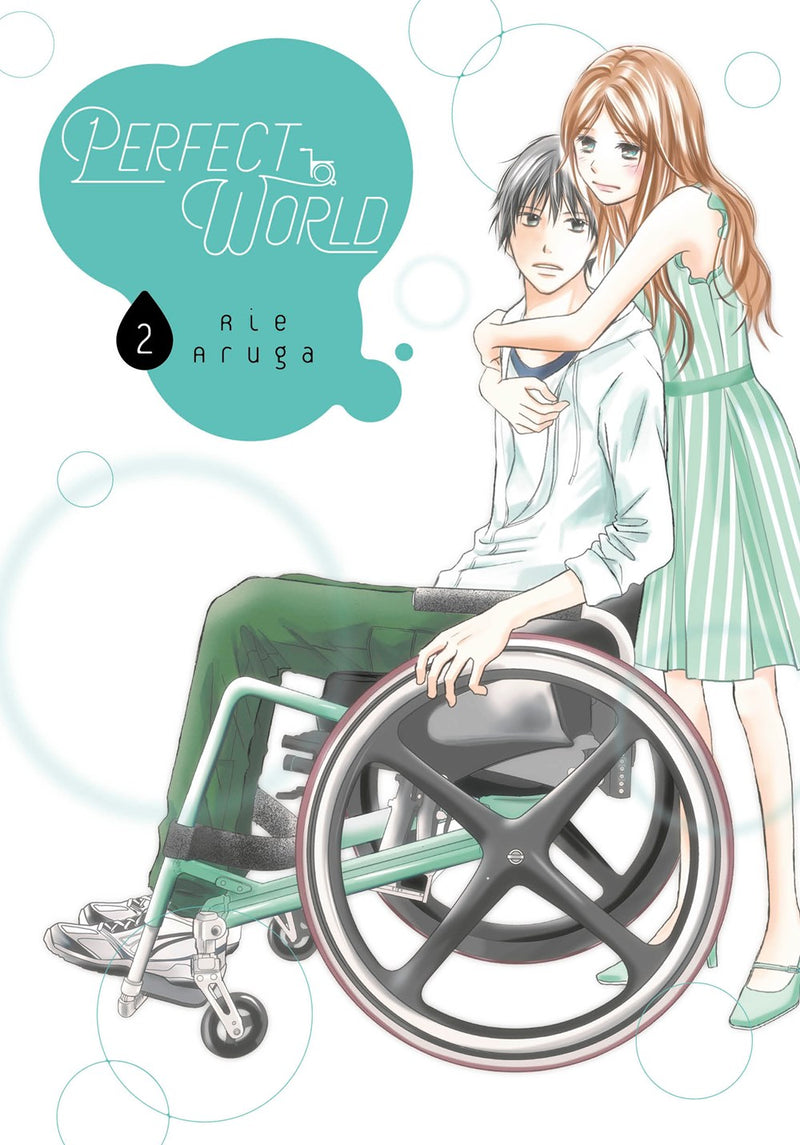 Perfect World, Vol. 2 - Hapi Manga Store