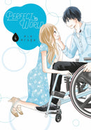 Perfect World, Vol. 4 - Hapi Manga Store