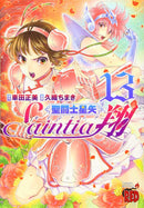 Saint Seiya: Saintia Sho, Vol. 13 - Hapi Manga Store