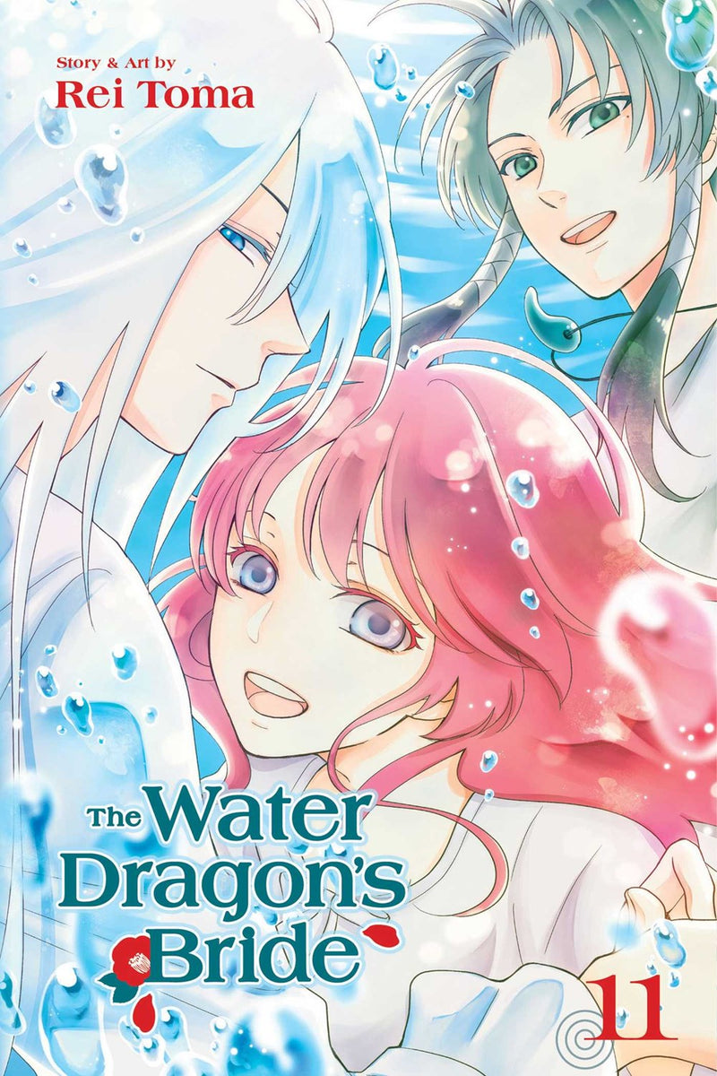 The Water Dragon's Bride, Vol. 11 - Hapi Manga Store