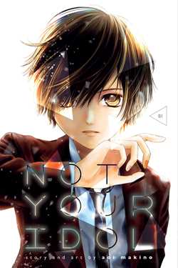 Not Your Idol, Vol. 1 - Hapi Manga Store