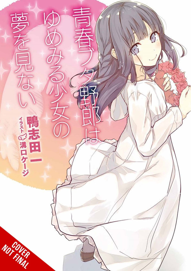 Rascal Does Not Dream of a Dreaming Girl (light novel) - Hapi Manga Store