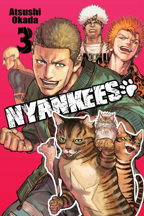 Nyankees, Vol. 3 - Hapi Manga Store