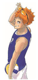 Haikyu!! Shosetsu Ban!! (Novel) 12 (JUMP j BOOKS) [Light Novel] - Hapi Manga Store