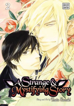 A Strange & Mystifying Story, Vol. 2 - Hapi Manga Store