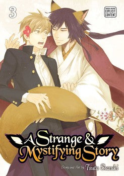 A Strange & Mystifying Story, Vol. 3 - Hapi Manga Store